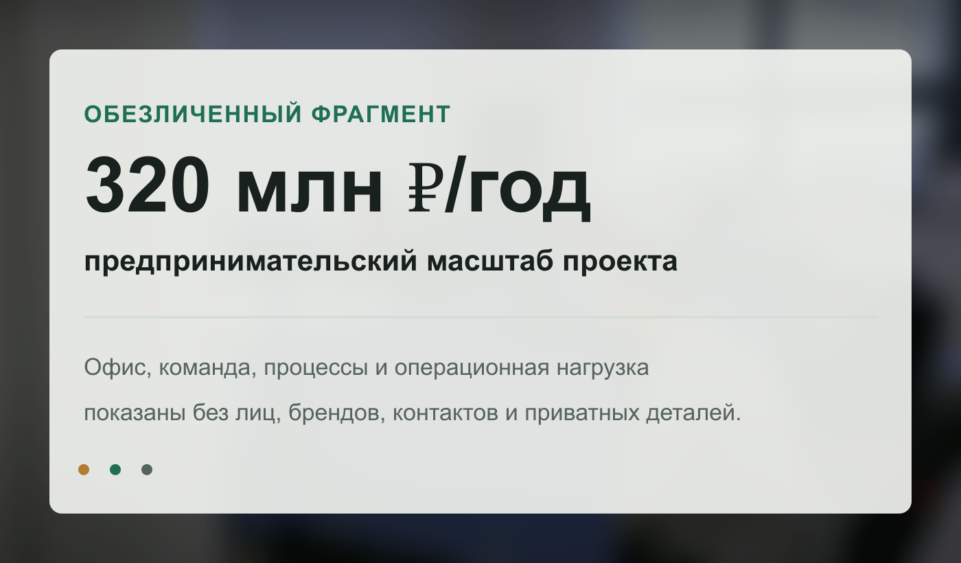 Обезличенный визуальный фрагмент предпринимательского проекта с оборотом 320 млн рублей в год